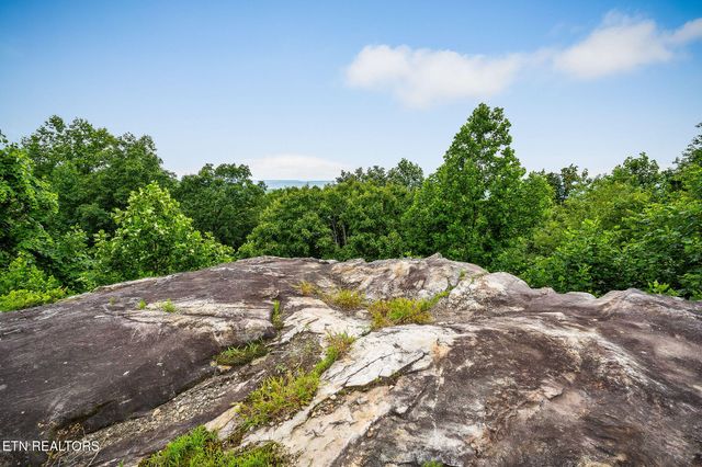 281 Ripley Rd, Sparta, TN 38583