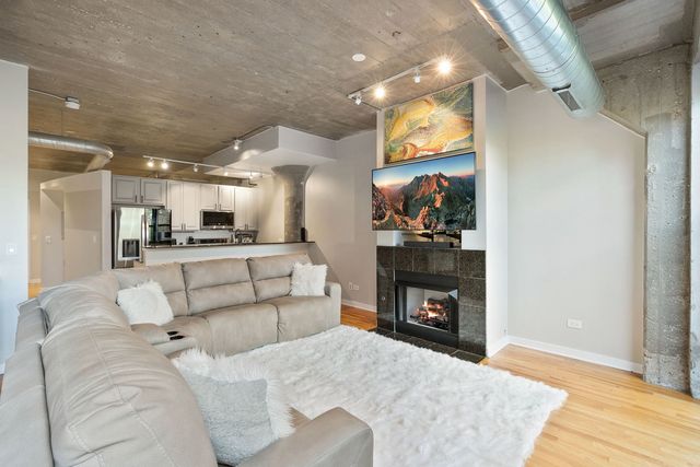 1069 W 14th Place 225, Chicago, IL 60608