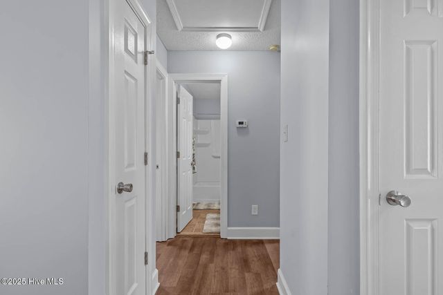 304 Fall Drive, Jacksonville, NC 28540