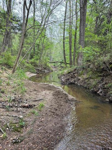 60 FM 2882, Mt Pleasant, TX 75455