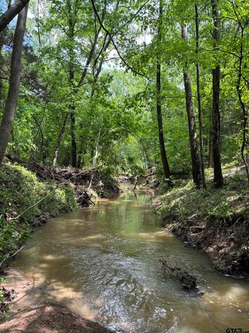 60 FM 2882, Mt Pleasant, TX 75455