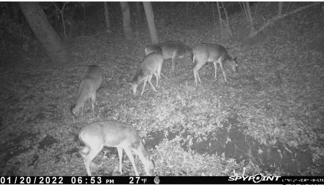 60 FM 2882, Mt Pleasant, TX 75455