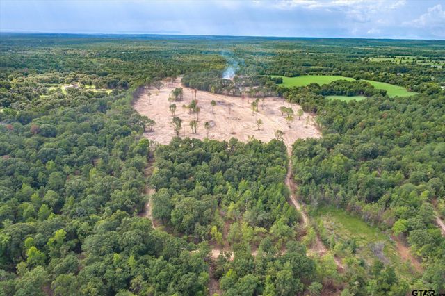 Tract 2 - TBD County Road 4307, Larue, TX 75770