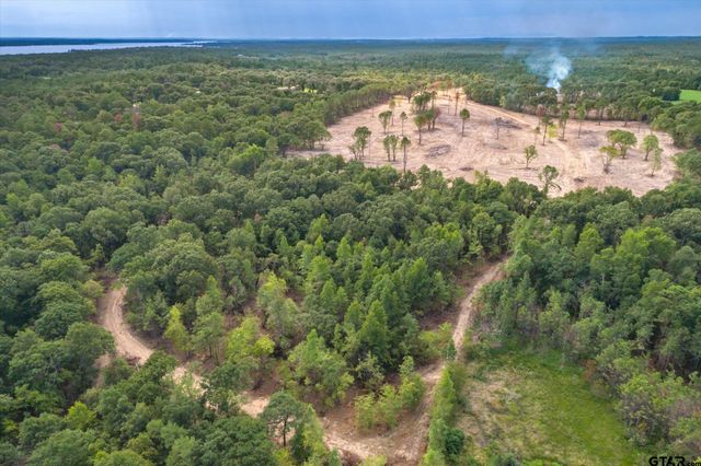 Tract 2 - TBD County Road 4307, Larue, TX 75770