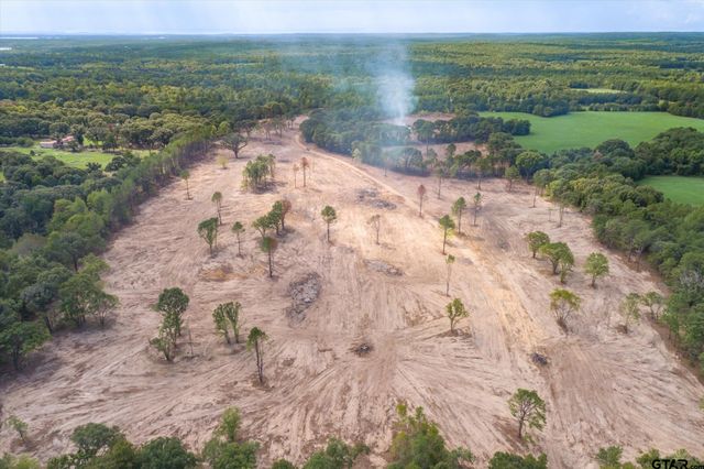 Tract 2 - TBD County Road 4307, Larue, TX 75770