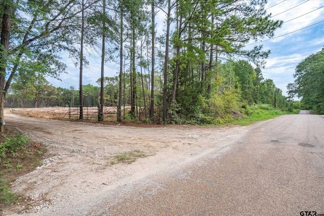 Tract 2 - TBD County Road 4307, Larue, TX 75770
