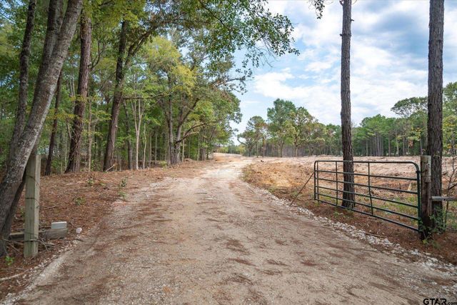 Tract 2 - TBD County Road 4307, Larue, TX 75770