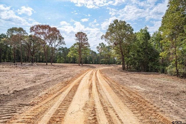 Tract 2 - TBD County Road 4307, Larue, TX 75770
