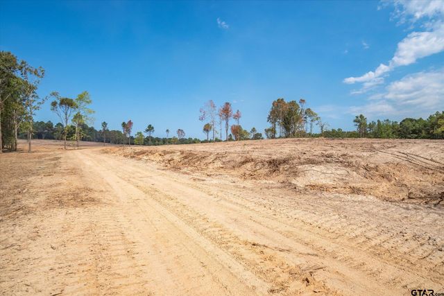 Tract 2 - TBD County Road 4307, Larue, TX 75770