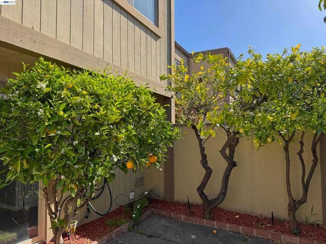 3211 Phoenix Ln, Alameda, CA 94502