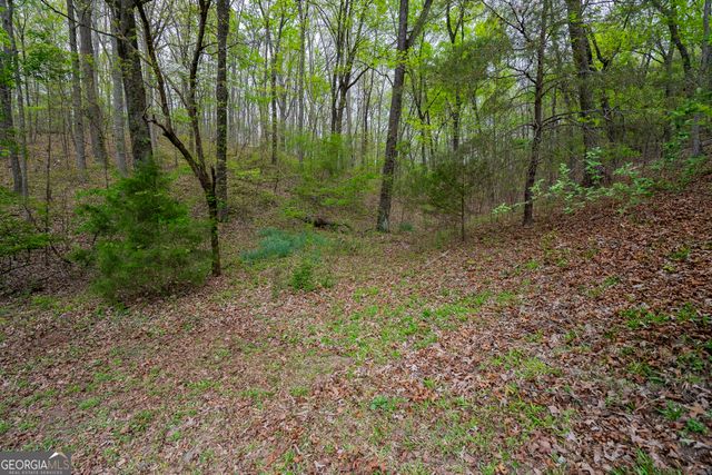 202 Fair Street, Summerville, GA 30747