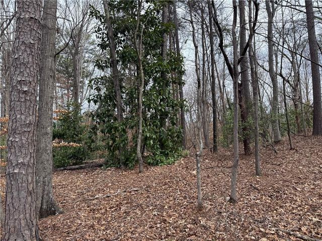 0 N Walnut Street, Seneca, SC 29678