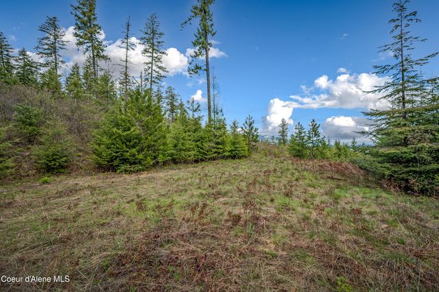 1025 Mountain Ridge DR, Sagle, ID 83860