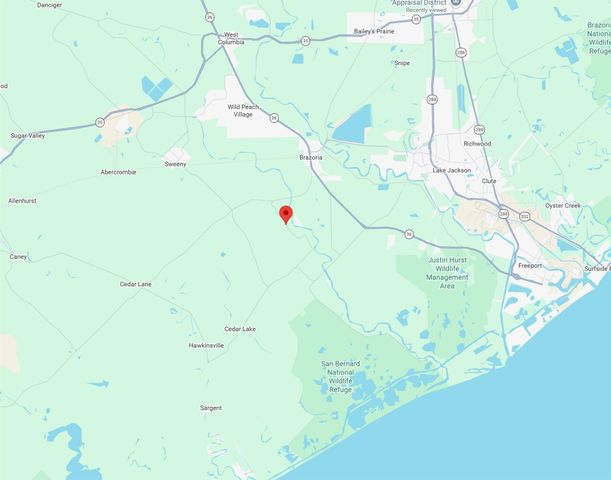 20318 County Road 461, Brazoria, TX 77422