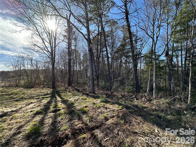 3132 Cane Creek Road, Fairview, NC 28730