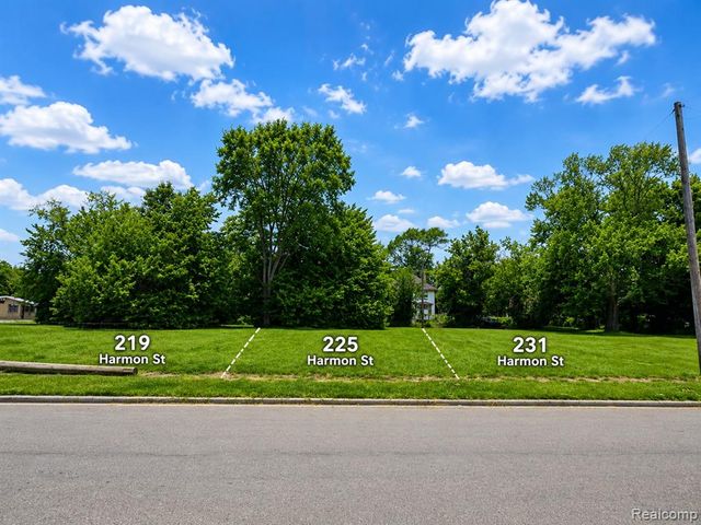 225 Harmon Street, Detroit, MI 48202