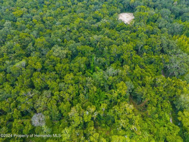 0 Rain Forest Road, Brooksville, FL 34601