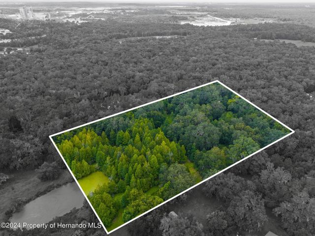 0 Rain Forest Road, Brooksville, FL 34601