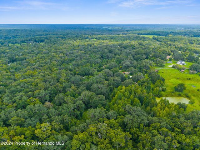 0 Rain Forest Road, Brooksville, FL 34601