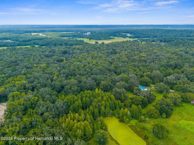 0 Rain Forest Road, Brooksville, FL 34601