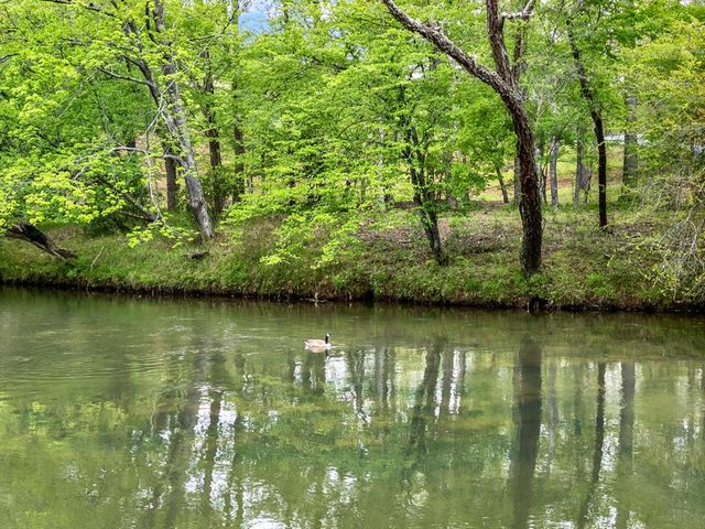 474 Seneca Way, Ellijay, GA 30540
