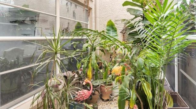 3837 DARSTON STREET, Palm Harbor, FL 34685