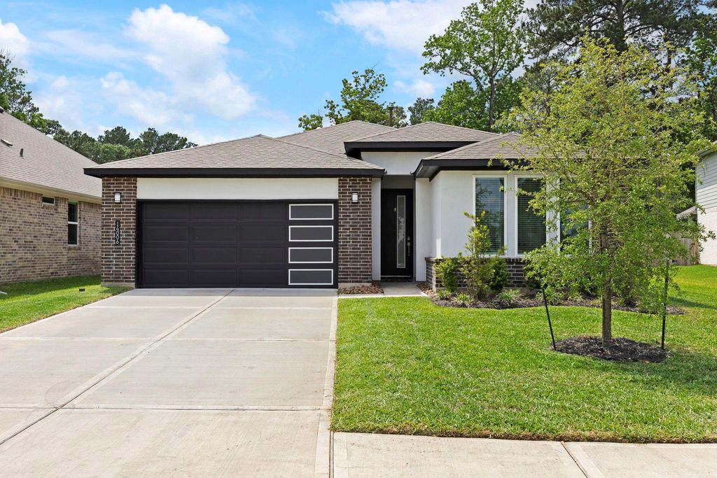 14006 Juniper Point Lane, Conroe, TX 77384