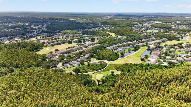 19305 SEA MIST LANE, Lutz, FL 33558