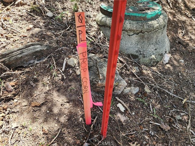 586 Rose, Twin Peaks, CA 92391