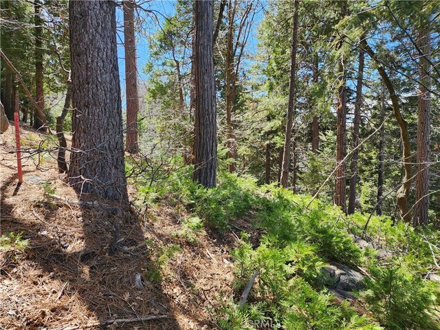 586 Rose, Twin Peaks, CA 92391