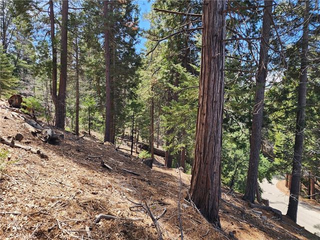 586 Rose, Twin Peaks, CA 92391