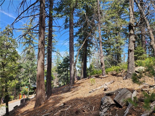 586 Rose, Twin Peaks, CA 92391