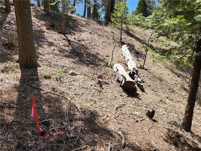 586 Rose, Twin Peaks, CA 92391