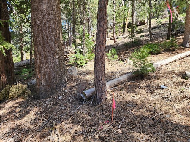 586 Rose, Twin Peaks, CA 92391