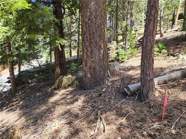 586 Rose, Twin Peaks, CA 92391