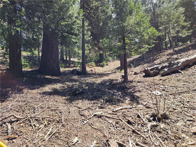 586 Rose, Twin Peaks, CA 92391