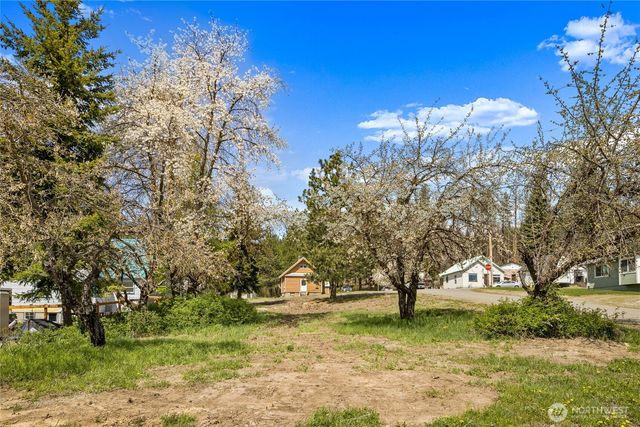 4 XX W Alaska Avenue, Roslyn, WA 98941
