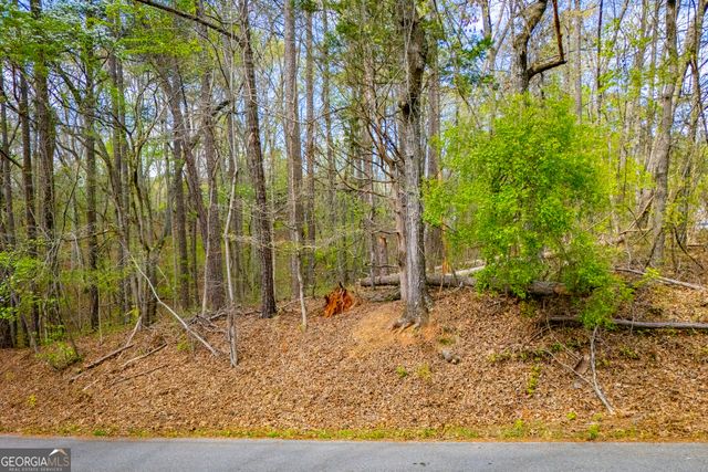 6156 Belle Meade Drive, Villa Rica, GA 30180