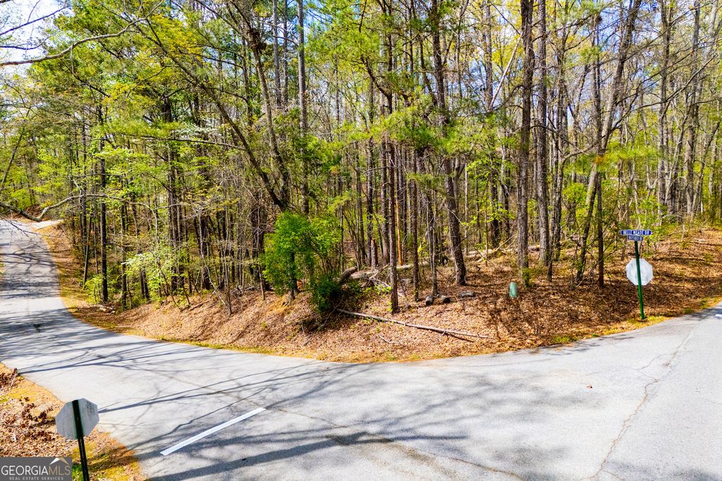 6156 Belle Meade Drive, Villa Rica, GA 30180