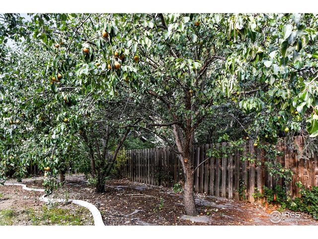 2020 Diamond Dr, Longmont, CO 80504