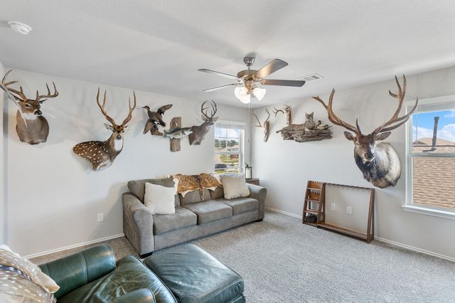 16974 Rich Pines Drive, Conroe, TX 77302