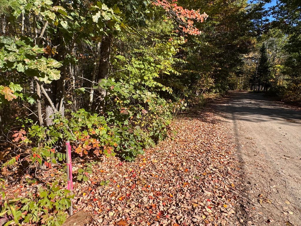Lot 2 Shaw Brook Lane, Gray, ME 04039 — photo 3