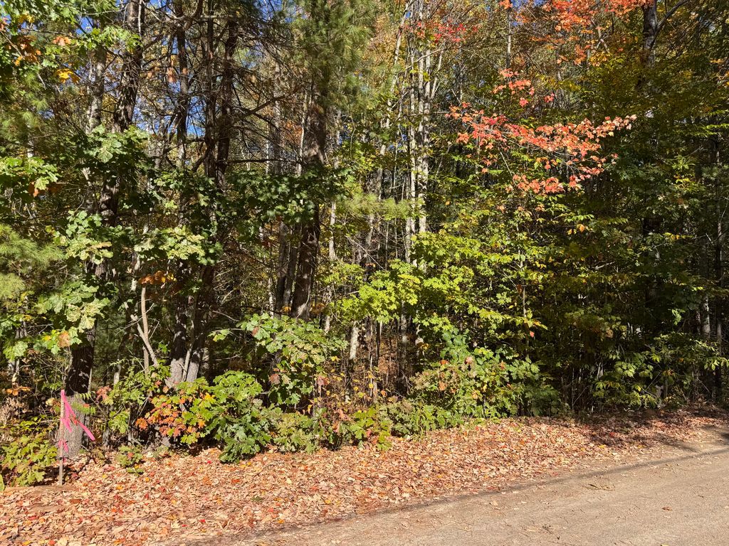 Lot 2 Shaw Brook Lane, Gray, ME 04039 — photo 4