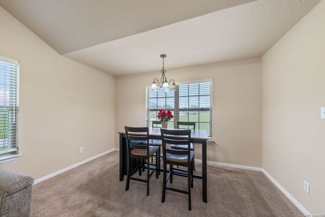 16371 Borregas Rd, Elmendorf, TX 78112