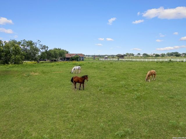16371 Borregas Rd, Elmendorf, TX 78112