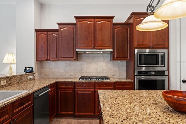 19820 STRATHMORE PLACE, Land O Lakes, FL 34638