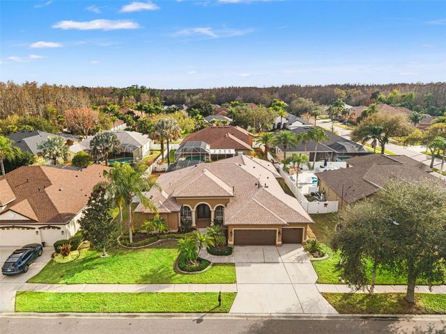 19820 STRATHMORE PLACE, Land O Lakes, FL 34638