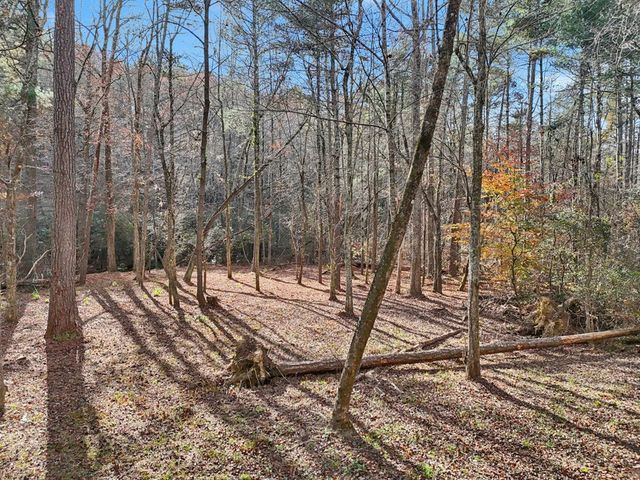 4542 Clear Creek, Ellijay, GA 30536