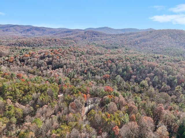 4542 Clear Creek, Ellijay, GA 30536