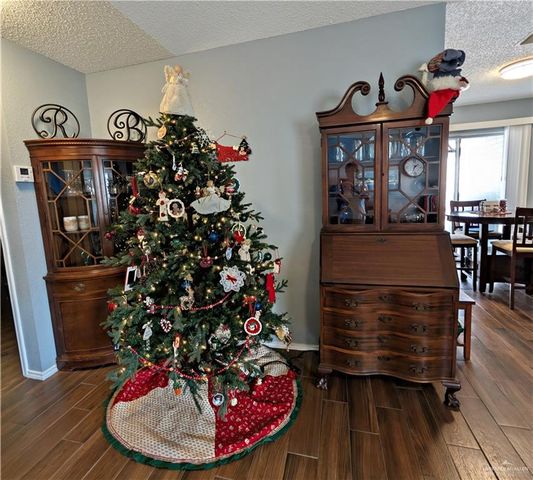 2104 Mockingbird Street, Palmview, TX 78572